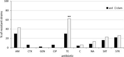 Plasmid Replicon Typing of Antibiotic-Resistant Escherichia coli From Clams and Marine Sediments